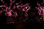 Dcim12911/DSC_6925