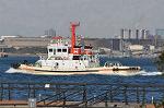 Dcim12912/DSC_4843