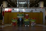 Dcim12913/DSC_6973