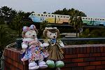Dcim12925/DSC_8689