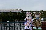 Dcim12925/DSC_8696