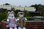 Dcim12925/DSC_8706