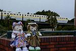 Dcim12925/DSC_8707