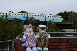 Dcim12925/DSC_8712