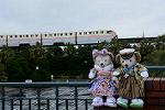 Dcim12925/DSC_8716