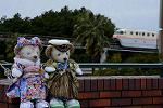 Dcim12925/DSC_8718