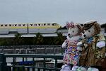 Dcim12925/DSC_8720