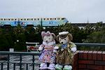 Dcim12925/DSC_8728
