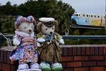 Dcim12925/DSC_8730