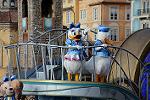 Dcim12926/DSC_8853