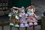 Dcim12928/DSC_9042