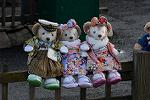 Dcim12928/DSC_9043