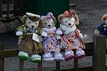 Dcim12928/DSC_9044
