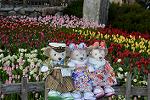Dcim12928/DSC_9061