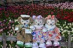 Dcim12928/DSC_9062