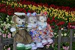 Dcim12928/DSC_9067