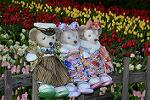 Dcim12928/DSC_9068