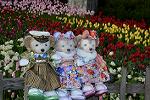 Dcim12928/DSC_9071