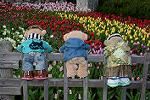 Dcim12928/DSC_9081