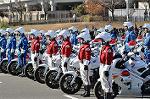 Dcim12932/DSC_5545