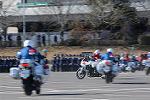 Dcim12938/DSC_9808