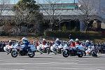 Dcim12938/DSC_9811