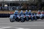 Dcim12938/DSC_9876