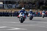 Dcim12938/DSC_9880