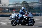 Dcim12939/DSC_9935