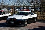 Dcim12941/DSC_0253