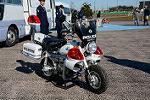 Dcim12942/DSC_0269
