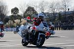 Dcim12943/DSC_0486