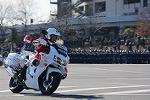 Dcim12943/DSC_0488