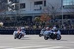 Dcim12944/DSC_0528