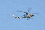 Dcim12948/DSC_5910