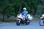 Dcim12953/DSC_1073