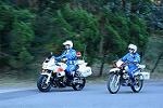 Dcim12953/DSC_1074