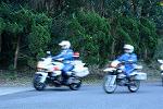 Dcim12953/DSC_1075