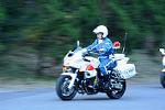 Dcim12953/DSC_1077