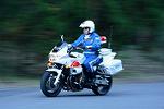 Dcim12953/DSC_1081