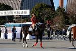 Dcim12953/DSC_1122