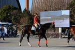 Dcim12953/DSC_1125