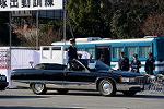 Dcim12954/DSC_1182