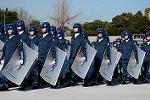 Dcim12955/DSC_1344