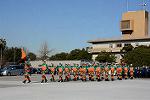 Dcim12955/DSC_1393
