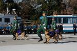 Dcim12956/DSC_1477