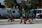 Dcim12956/DSC_1481