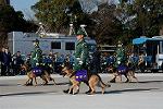 Dcim12956/DSC_1483