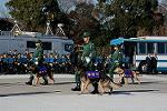 Dcim12956/DSC_1485