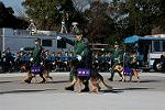 Dcim12956/DSC_1486